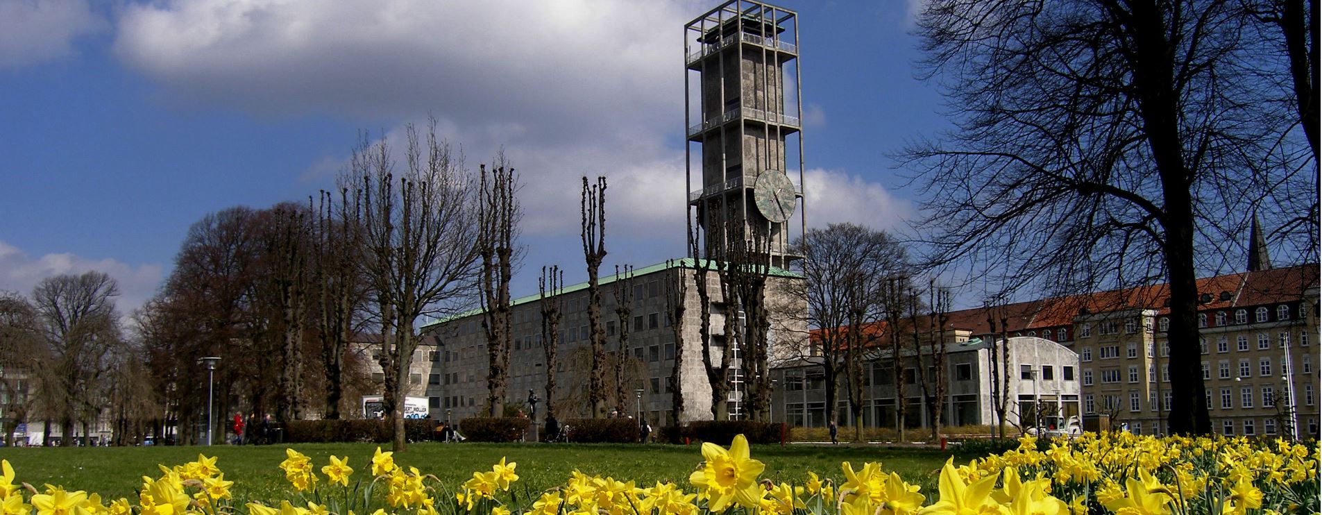 Fælesrådet Frederiksbjerg, Langenæs & City